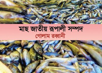 মাছ জাতীয় রূপালী সম্পদ
