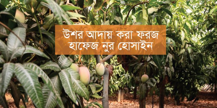 উশর আদায় করা ফরজ