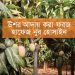 উশর আদায় করা ফরজ