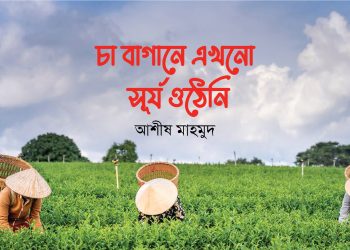 চা বাগানে এখনো সূর্য ওঠেনি