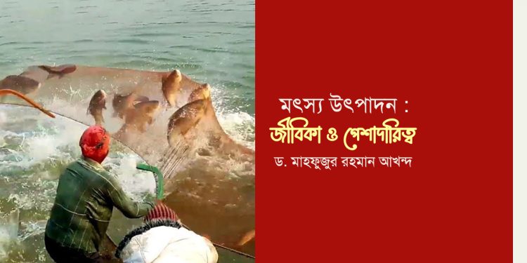মৎস্য উৎপাদন : জীবিকা ও পেশাদারিত্ব