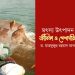 মৎস্য উৎপাদন : জীবিকা ও পেশাদারিত্ব