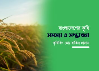 বাংলাদেশের কৃষি সমস্যা ও সম্ভাবনা
