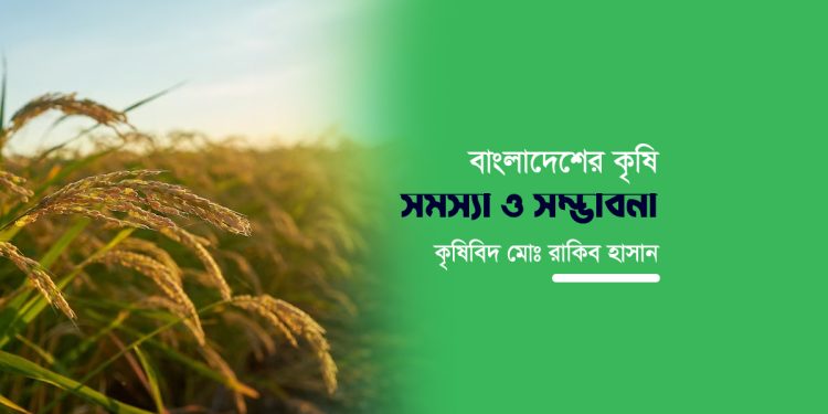 বাংলাদেশের কৃষি সমস্যা ও সম্ভাবনা
